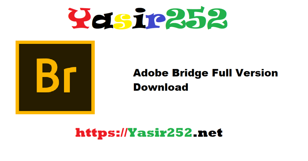 Adobe Bridge 2025 v15.635 Full Version Download
