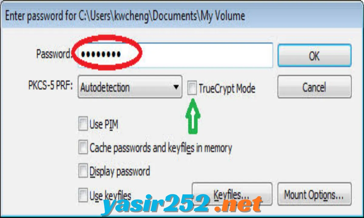 VeraCrypt Download for Windows versi terbaru