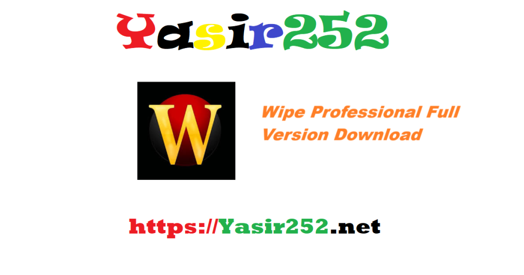 Wipe Professional 2025 Full Version Download