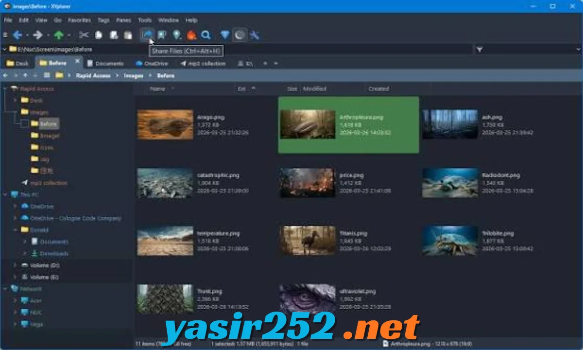 XYplorer Full Download terbaru