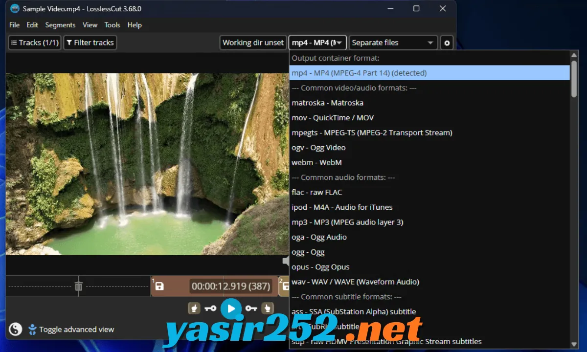 LosslessCut video editor untuk Windows